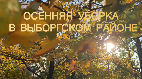 Осенний месячник по благоустройству: промежуточные итоги в Выборгском районе